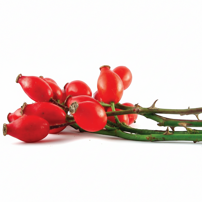 Made from Earth Rosehip + Hibiscus Facial Serum, a calming and moisturizing serum for soft, smooth, sensitive skin.